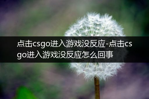 点击csgo进入游戏没反应-点击csgo进入游戏没反应怎么回事