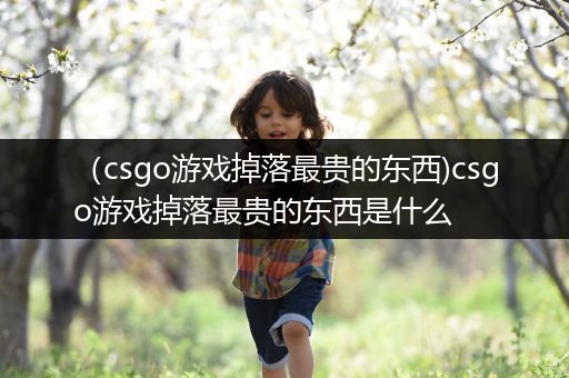 （csgo游戏掉落最贵的东西)csgo游戏掉落最贵的东西是什么