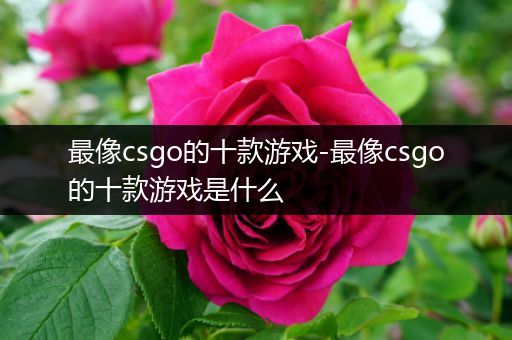 最像csgo的十款游戏-最像csgo的十款游戏是什么