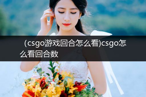 （csgo游戏回合怎么看)csgo怎么看回合数