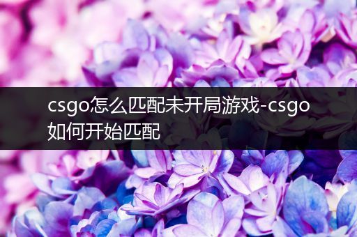 csgo怎么匹配未开局游戏-csgo如何开始匹配