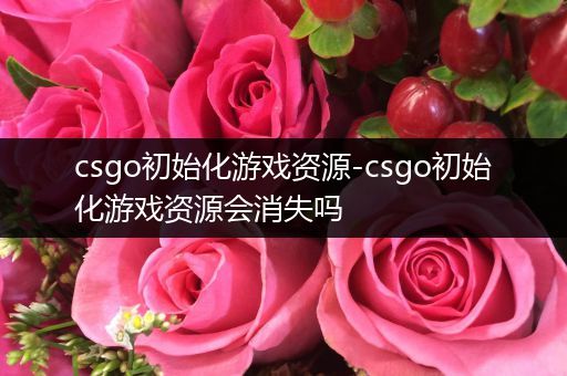 csgo初始化游戏资源-csgo初始化游戏资源会消失吗