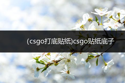 （csgo打底贴纸)csgo贴纸底子