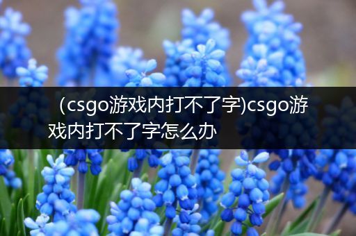 （csgo游戏内打不了字)csgo游戏内打不了字怎么办
