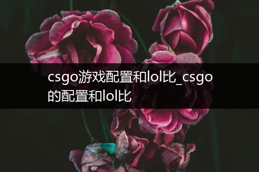 csgo游戏配置和lol比_csgo的配置和lol比
