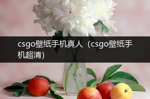 csgo壁纸手机真人（csgo壁纸手机超清）