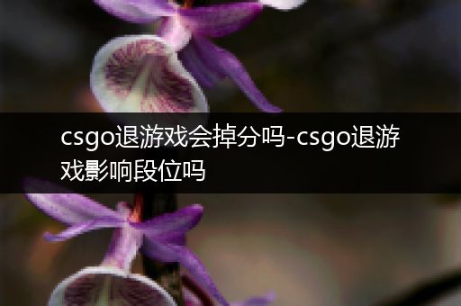 csgo退游戏会掉分吗-csgo退游戏影响段位吗