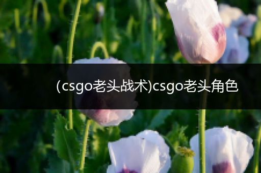 （csgo老头战术)csgo老头角色