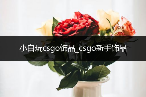 小白玩csgo饰品_csgo新手饰品