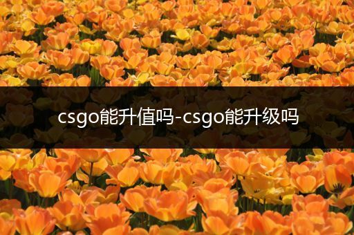 csgo能升值吗-csgo能升级吗