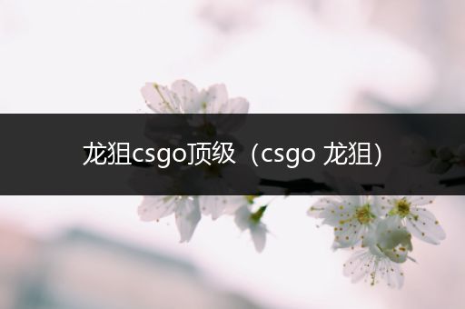 龙狙csgo顶级（csgo 龙狙）