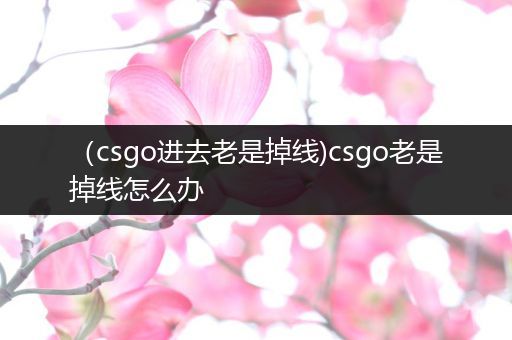 （csgo进去老是掉线)csgo老是掉线怎么办