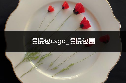 慢慢包csgo_慢慢包围