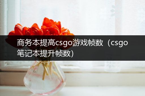 商务本提高csgo游戏帧数（csgo笔记本提升帧数）