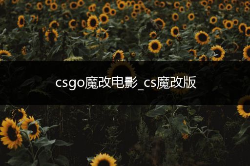 csgo魔改电影_cs魔改版