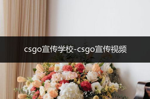 csgo宣传学校-csgo宣传视频