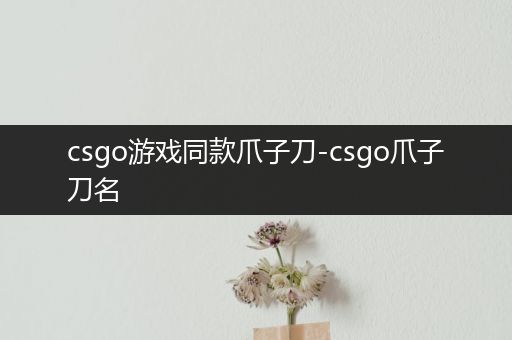 csgo游戏同款爪子刀-csgo爪子刀名