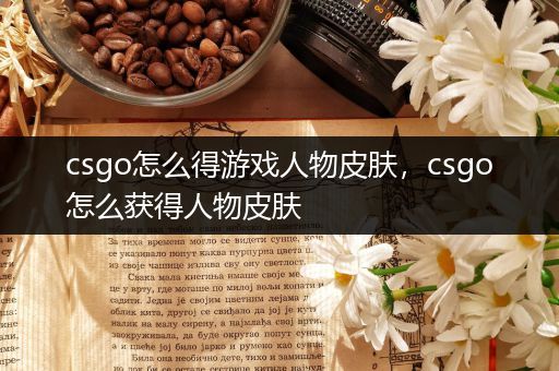 csgo怎么得游戏人物皮肤，csgo怎么获得人物皮肤