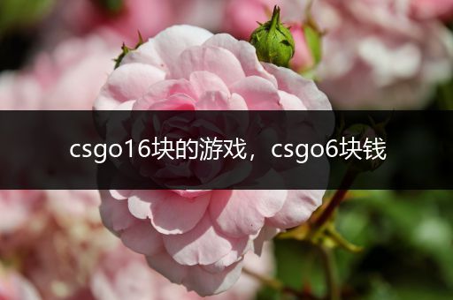 csgo16块的游戏，csgo6块钱