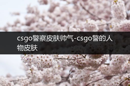 csgo警察皮肤帅气-csgo警的人物皮肤