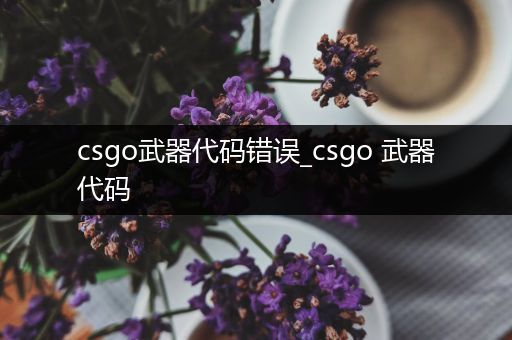 csgo武器代码错误_csgo 武器代码