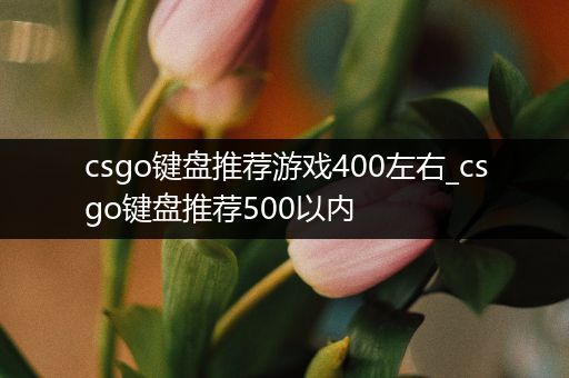 csgo键盘推荐游戏400左右_csgo键盘推荐500以内