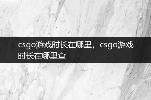 csgo游戏时长在哪里，csgo游戏时长在哪里查