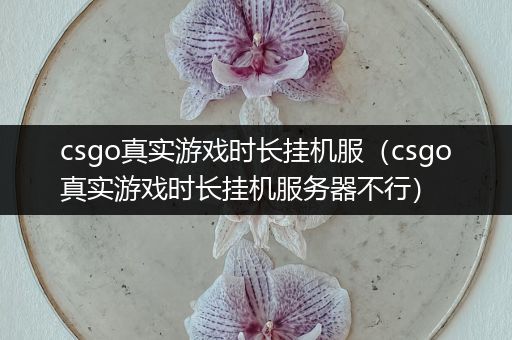 csgo真实游戏时长挂机服（csgo真实游戏时长挂机服务器不行）
