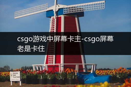 csgo游戏中屏幕卡主-csgo屏幕老是卡住