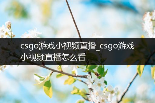 csgo游戏小视频直播_csgo游戏小视频直播怎么看