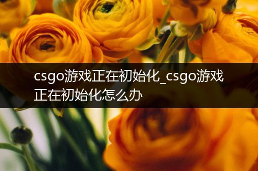 csgo游戏正在初始化_csgo游戏正在初始化怎么办