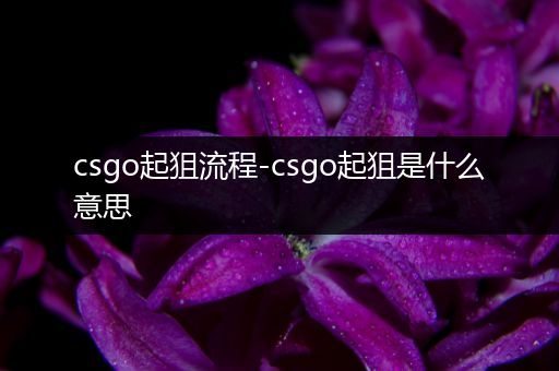 csgo起狙流程-csgo起狙是什么意思
