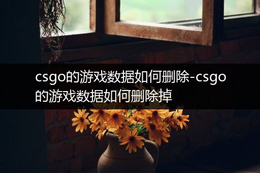 csgo的游戏数据如何删除-csgo的游戏数据如何删除掉