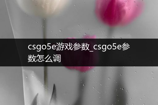 csgo5e游戏参数_csgo5e参数怎么调