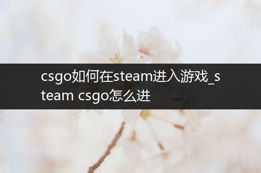 csgo如何在steam进入游戏_steam csgo怎么进