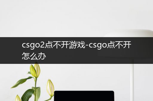 csgo2点不开游戏-csgo点不开怎么办