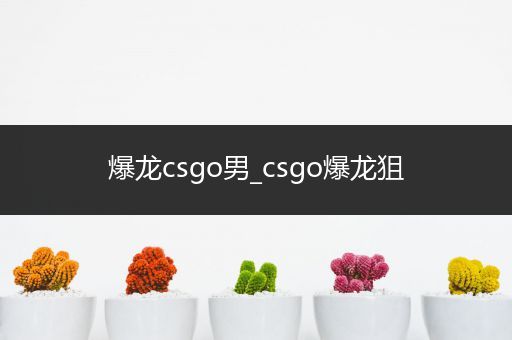 爆龙csgo男_csgo爆龙狙