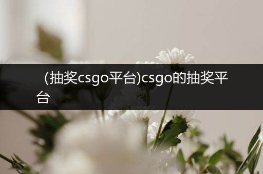 （抽奖csgo平台)csgo的抽奖平台