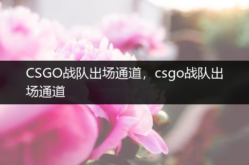 CSGO战队出场通道，csgo战队出场通道