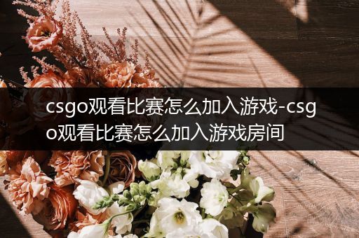 csgo观看比赛怎么加入游戏-csgo观看比赛怎么加入游戏房间
