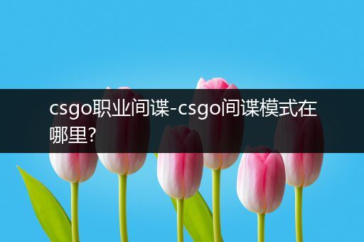csgo职业间谍-csgo间谍模式在哪里?