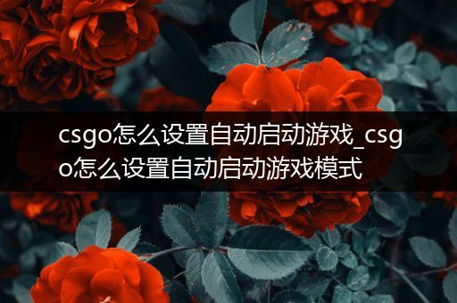 csgo怎么设置自动启动游戏_csgo怎么设置自动启动游戏模式