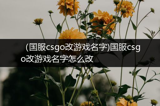 （国服csgo改游戏名字)国服csgo改游戏名字怎么改