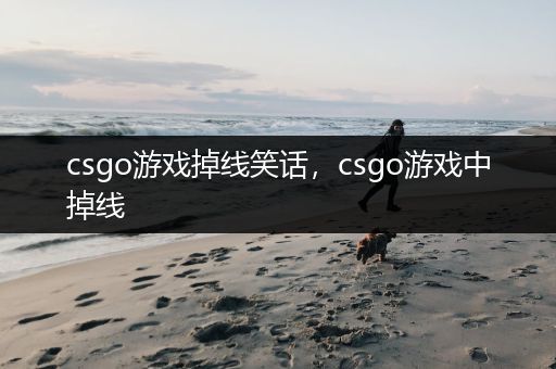 csgo游戏掉线笑话，csgo游戏中掉线