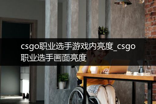 csgo职业选手游戏内亮度_csgo职业选手画面亮度