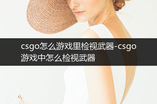 csgo怎么游戏里检视武器-csgo游戏中怎么检视武器