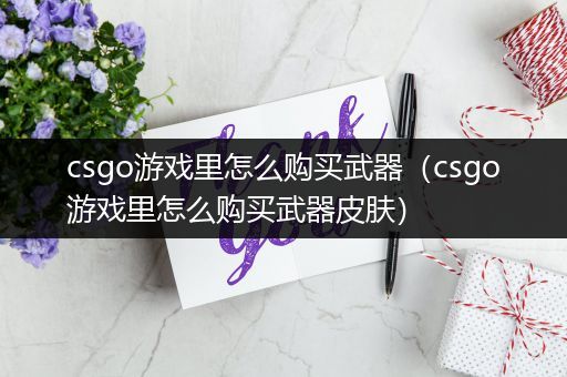 csgo游戏里怎么购买武器（csgo游戏里怎么购买武器皮肤）
