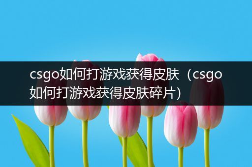 csgo如何打游戏获得皮肤（csgo如何打游戏获得皮肤碎片）