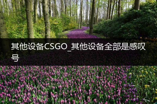 其他设备CSGO_其他设备全部是感叹号