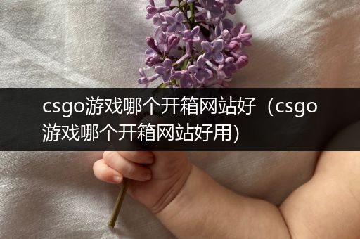 csgo游戏哪个开箱网站好（csgo游戏哪个开箱网站好用）